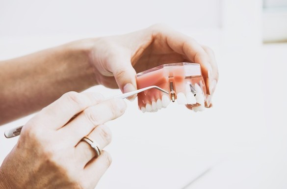 Lismore Orthodontics